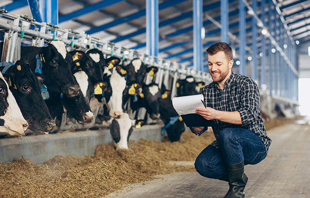 Spain Smart Livestock Management