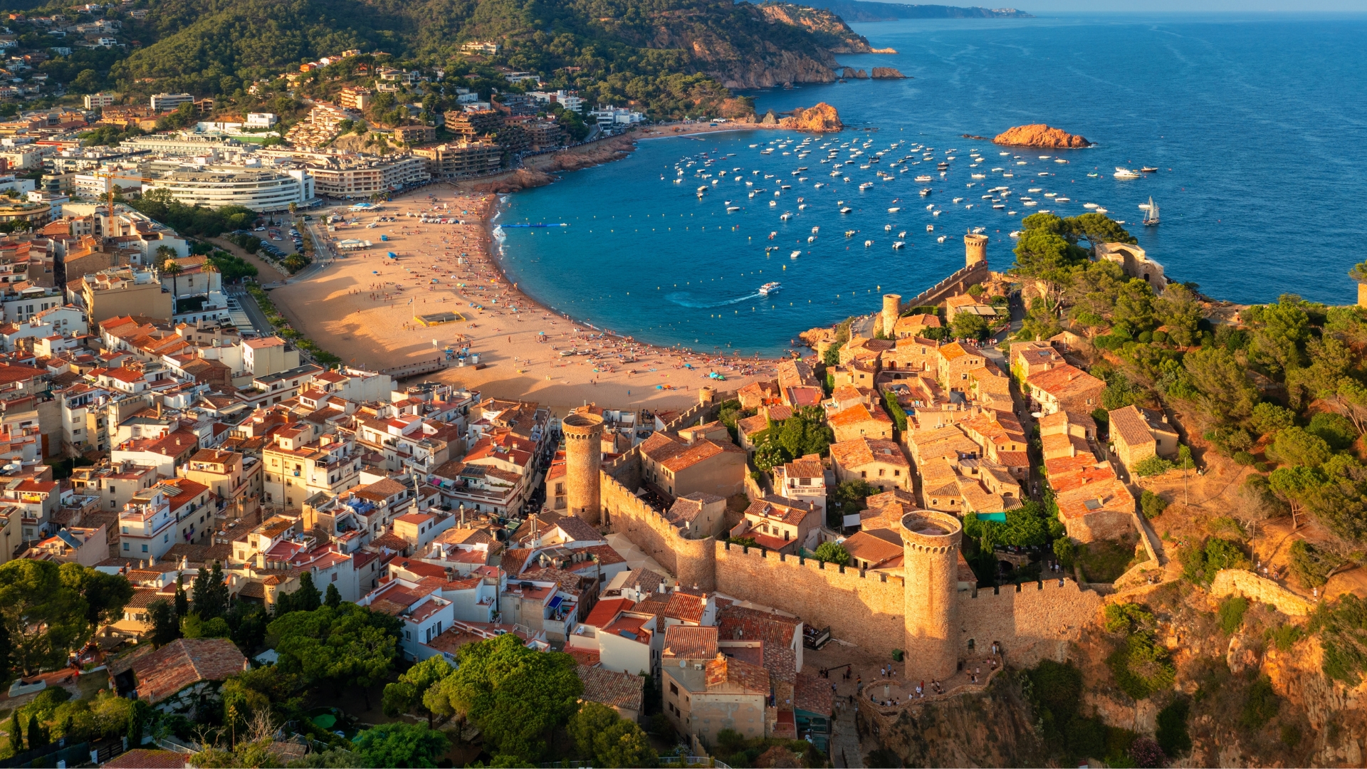 Spain Smart Livestock Management extra image