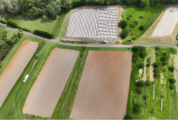 Milesight Development Platform Enables Smart Agriculture Project in Australia