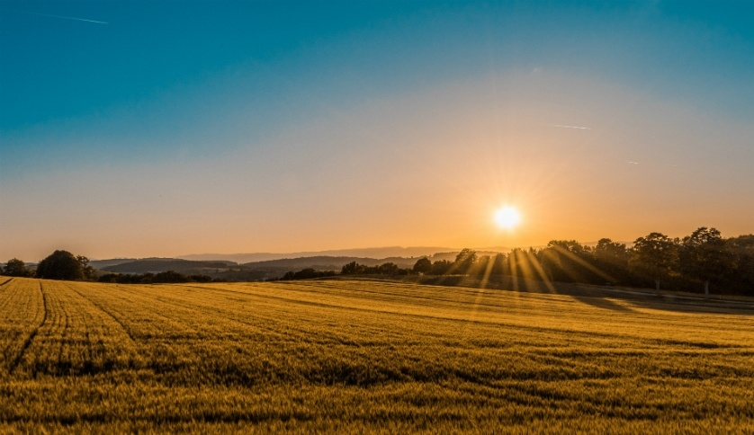 Milesight Development Platform Enables Smart Agriculture Project in Australia extra image