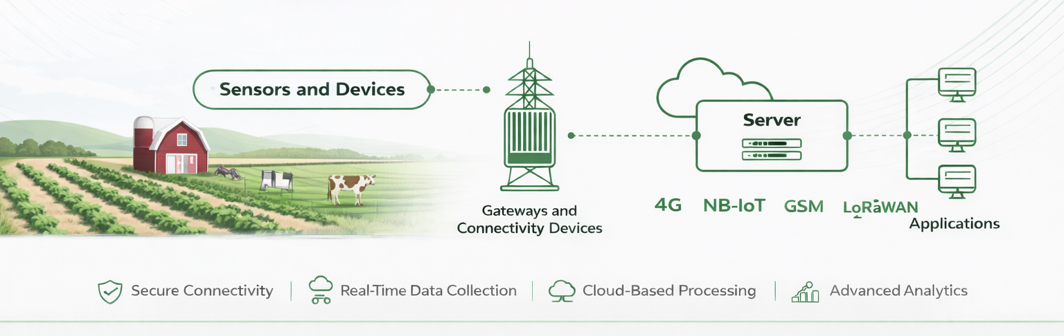 IoT Network Illustration